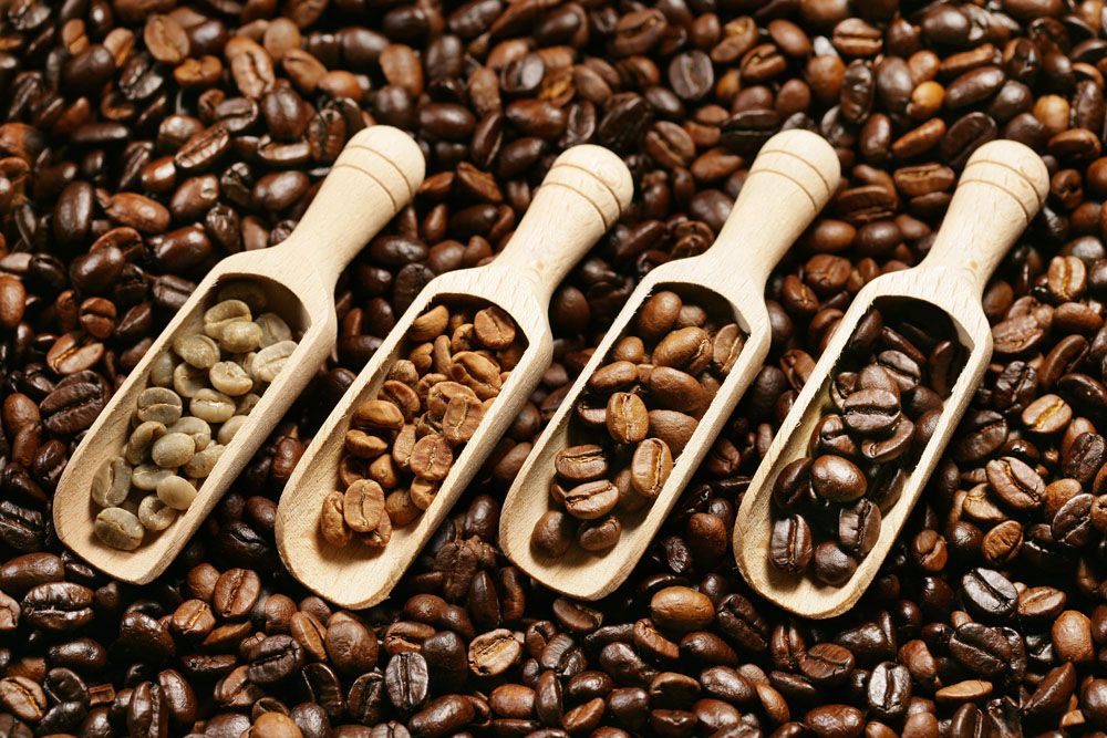 学做咖啡要多久  学做咖啡需要多少钱 咖啡烘焙培训